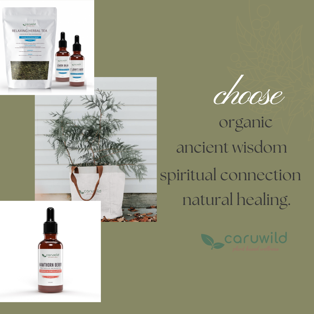 Support Your Wellness Goals with Tincture Blends and Herb Kits