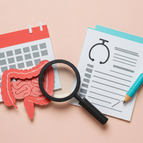 The Connection Between Gut Health & Herbal Nutrition