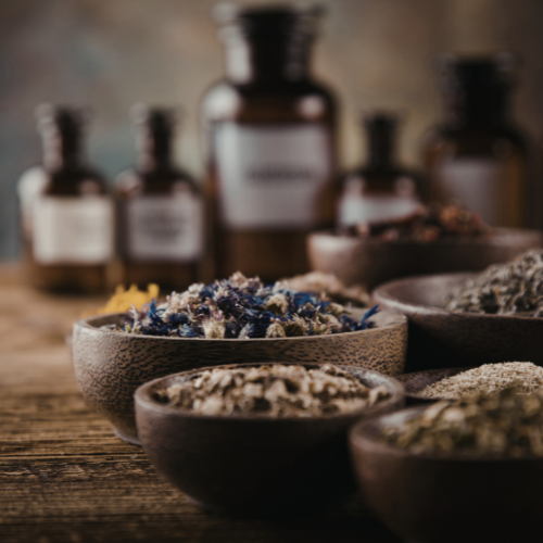 Top Herbs for Natural Healing & Daily Wellness
