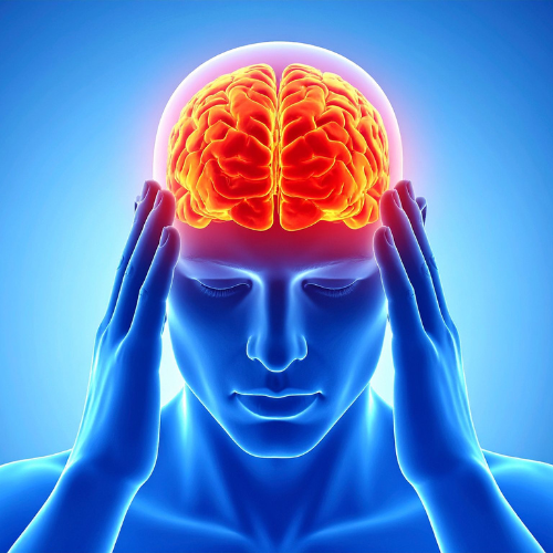 Postpartum Herbal Support — Nourishing the Mind & Body After Birth