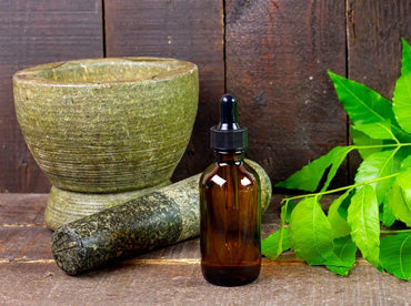 Discover the Healing Power of CaruWild Herbal Treatments for Common Ailments