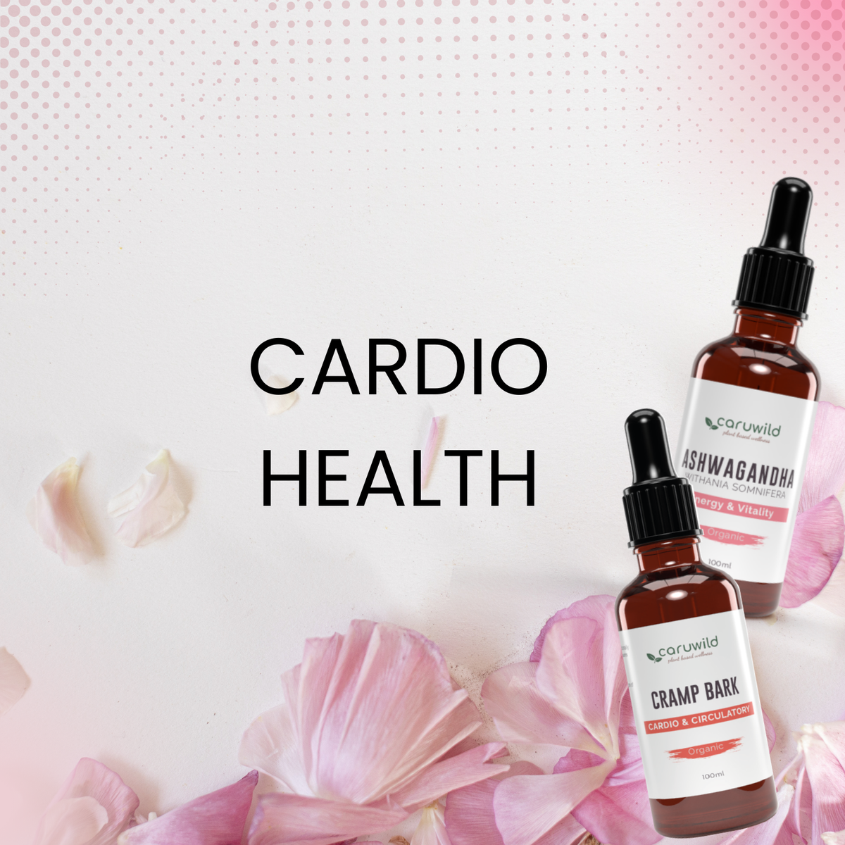 VITALITY & CIRCULATION