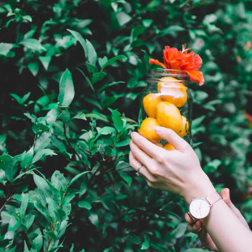 Blood Pressure Support Kit