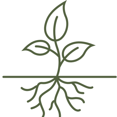 Organic Tinctures - Herbal tinctures