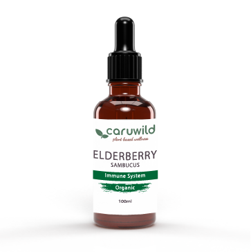 Elderberry Herbal Extract