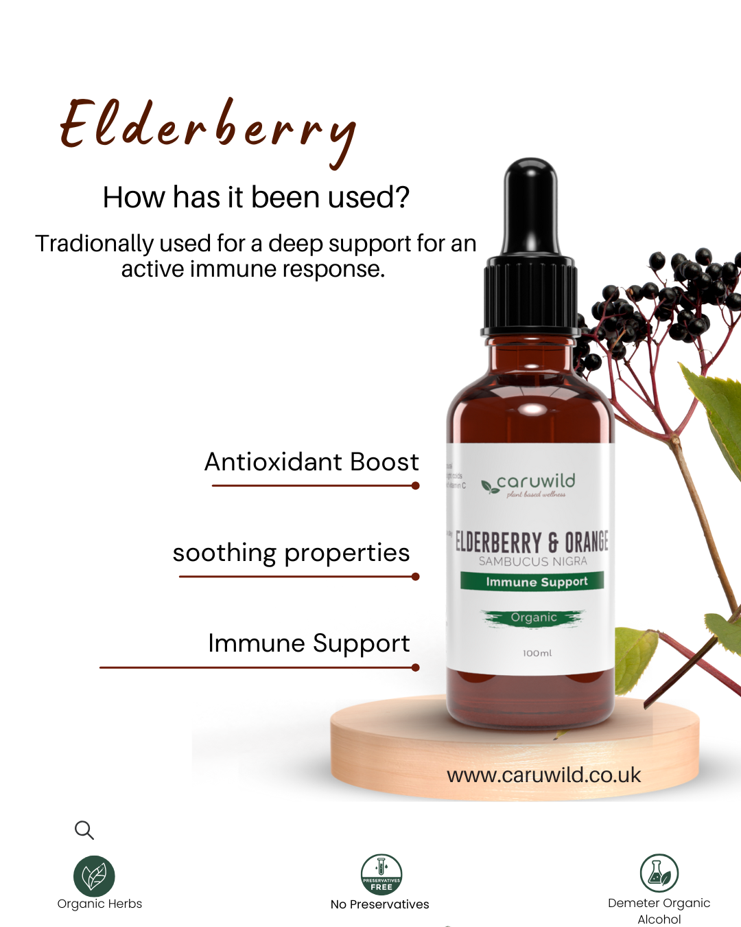 Elderberry and Orange Extract