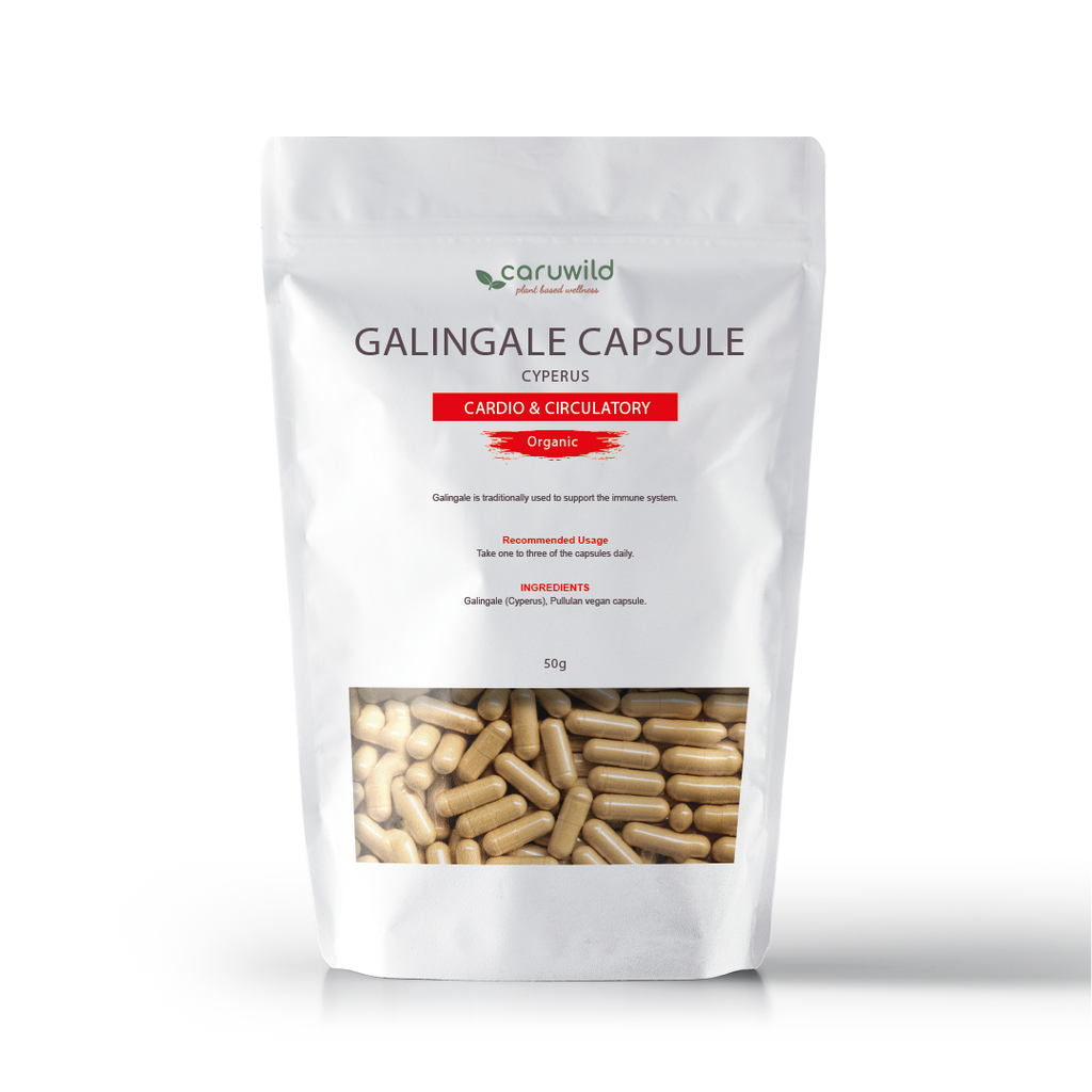 Galingale Capsule