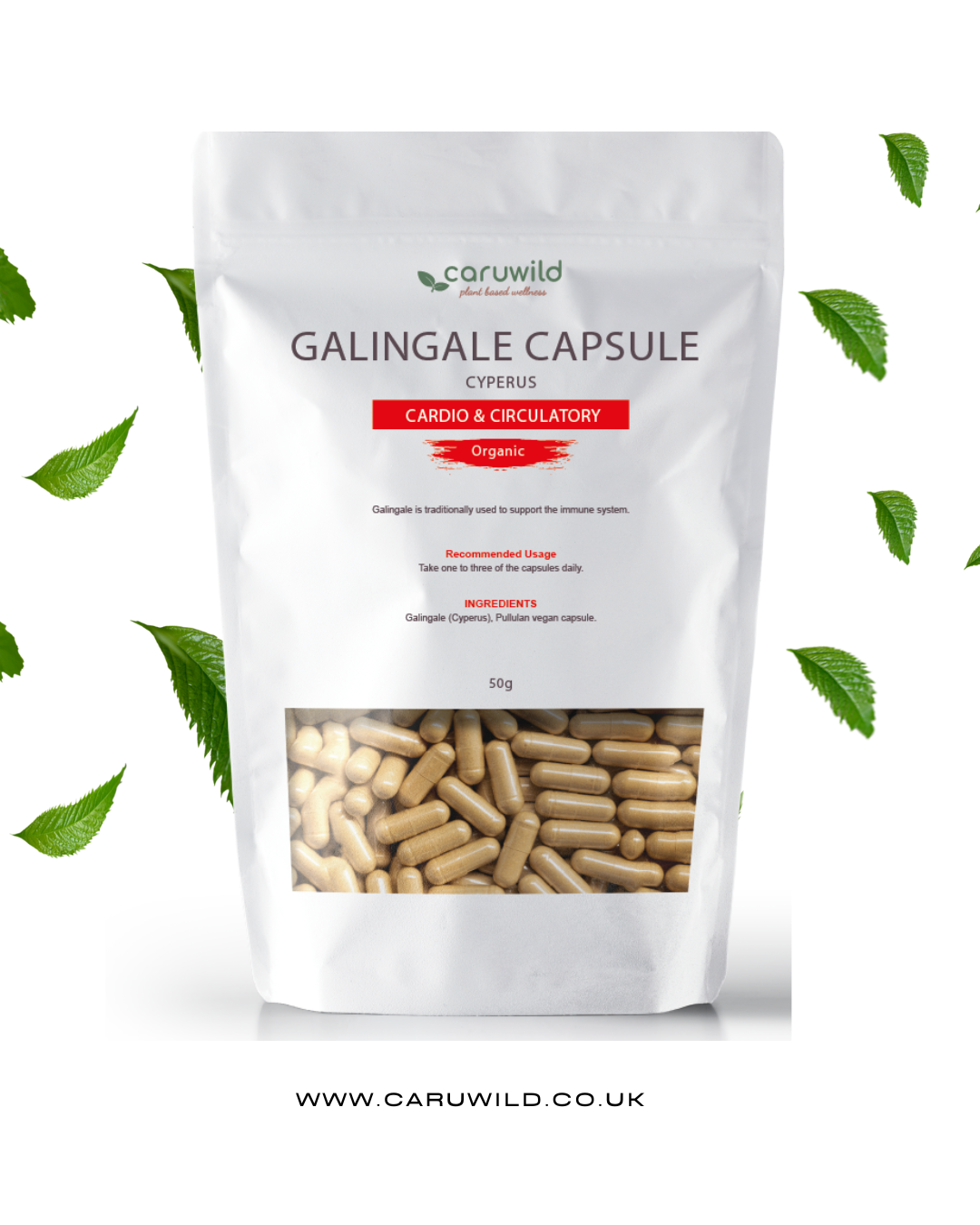 Galingale Capsule