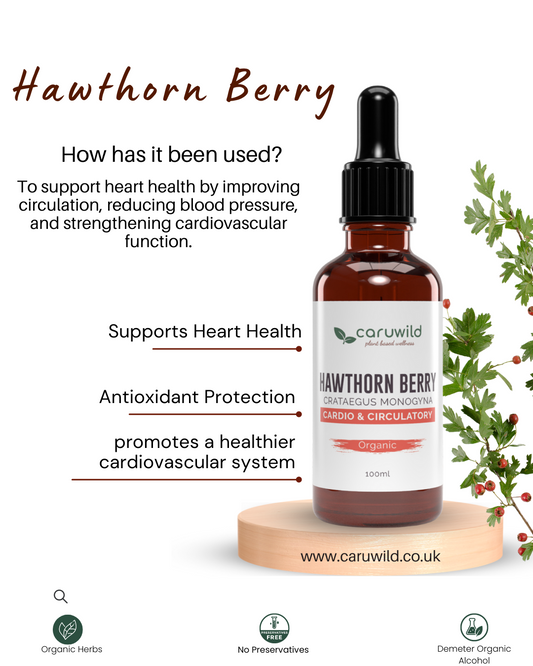Hawthorn Berry Extract