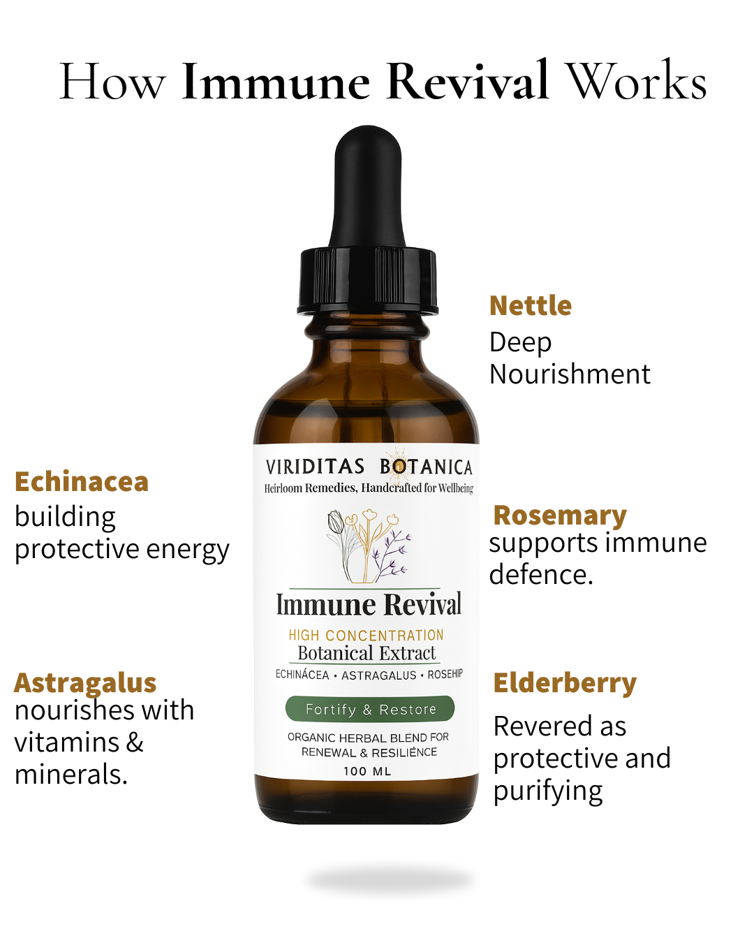 Immune Support Botanical Extract