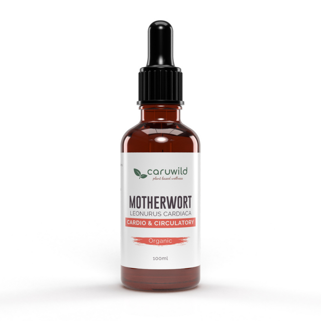 Motherwort Extract