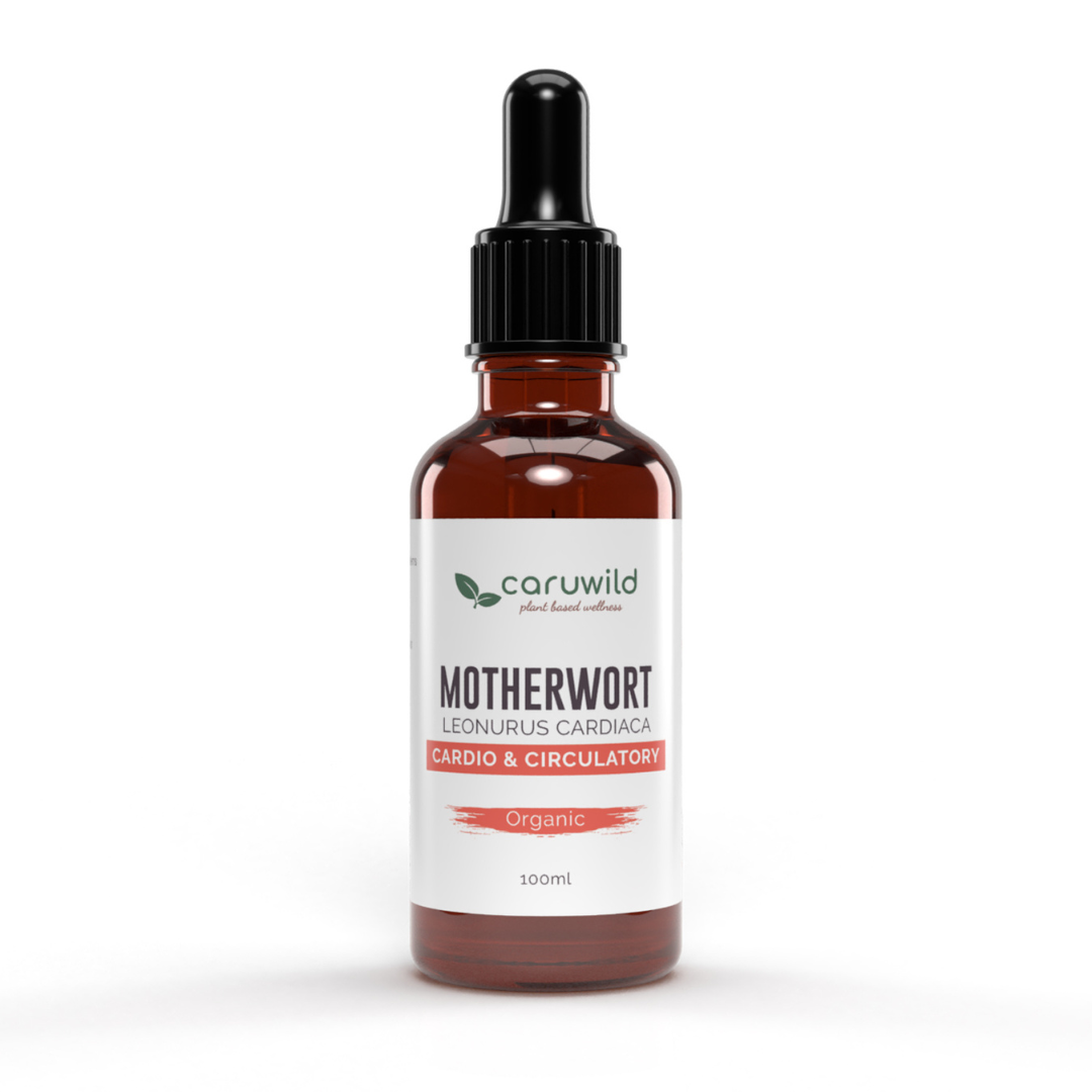 Motherwort Extract