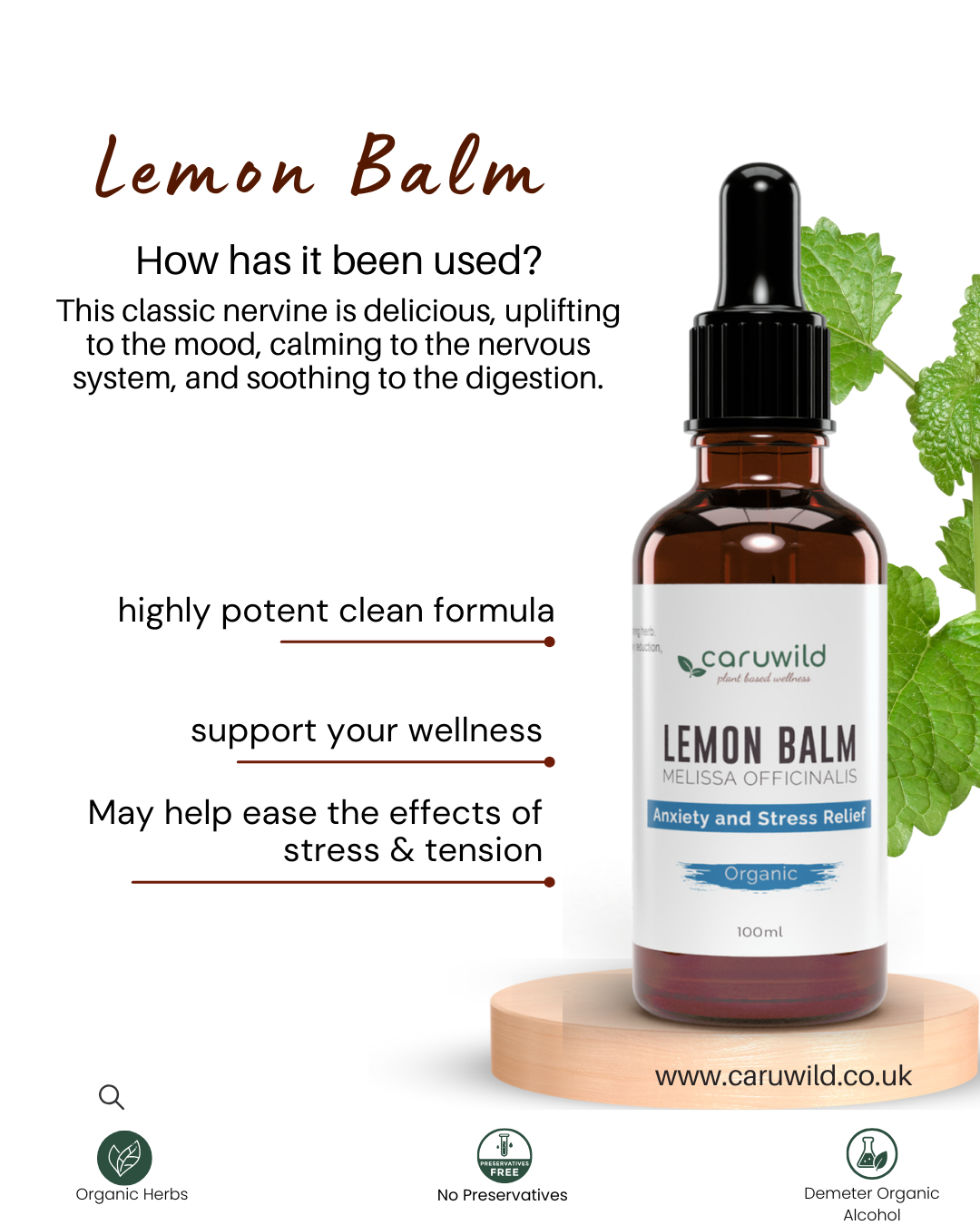 Lemon Balm Extract